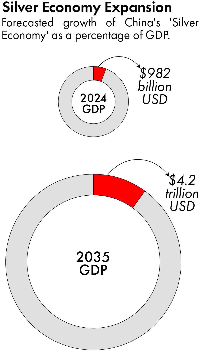 China's elderly care