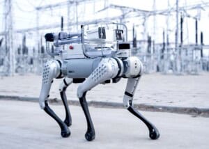 The Robotics Risk Tightrope